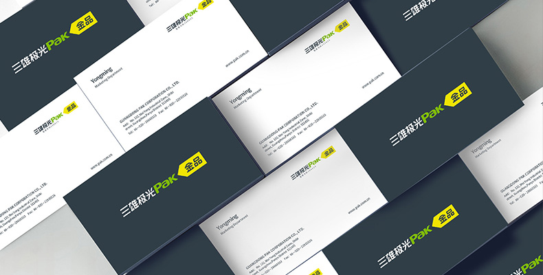 三雄極光-上市品牌命名，VI設(shè)計(jì)，LOGO設(shè)計(jì)